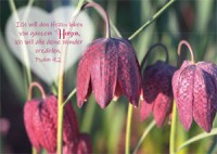 Postkarte - Herz - Psalm 9,2